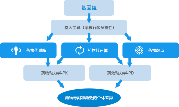 不合理用药的危害及差异分析2