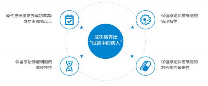 HDS平台示意图
