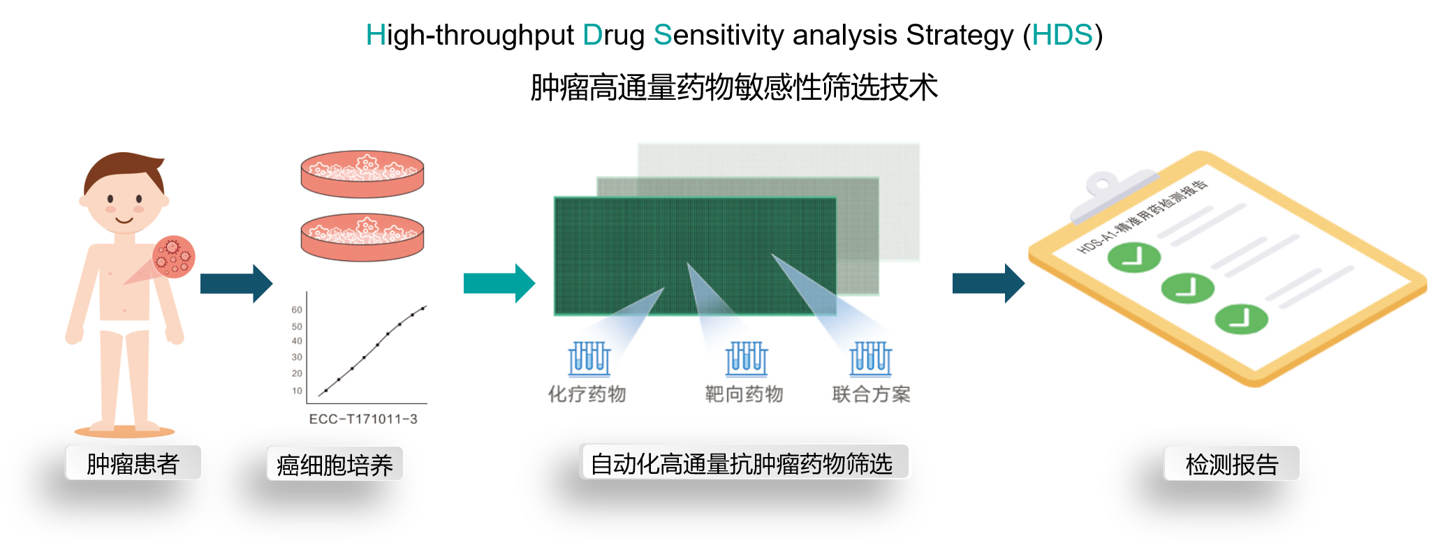 HDS 检测流程