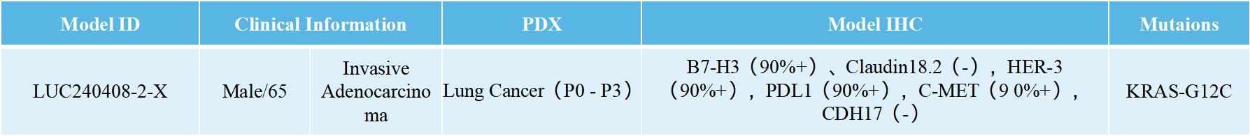 肺癌PDX案例1
